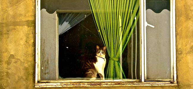 Selección oficial Salon Internacional de la luz